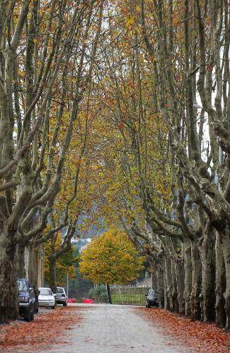 Photo of Others in Vila Real