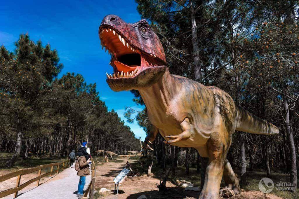 Photo of Human In Picture in Areia Branca