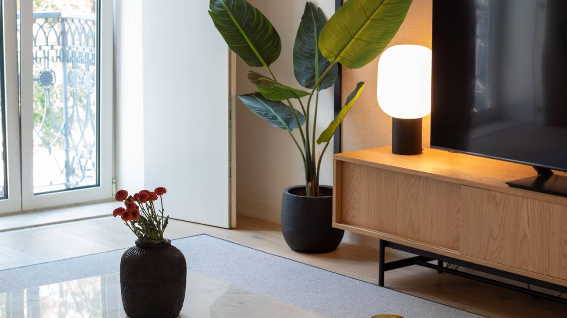 Photo of Livingroom in Sao Jose