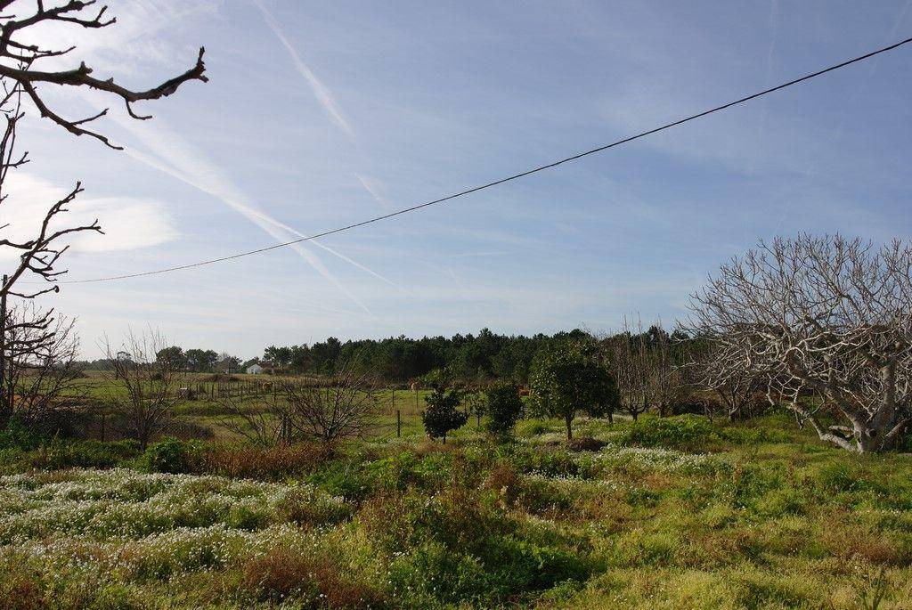 Photo of Others in Cabeco de Aguia