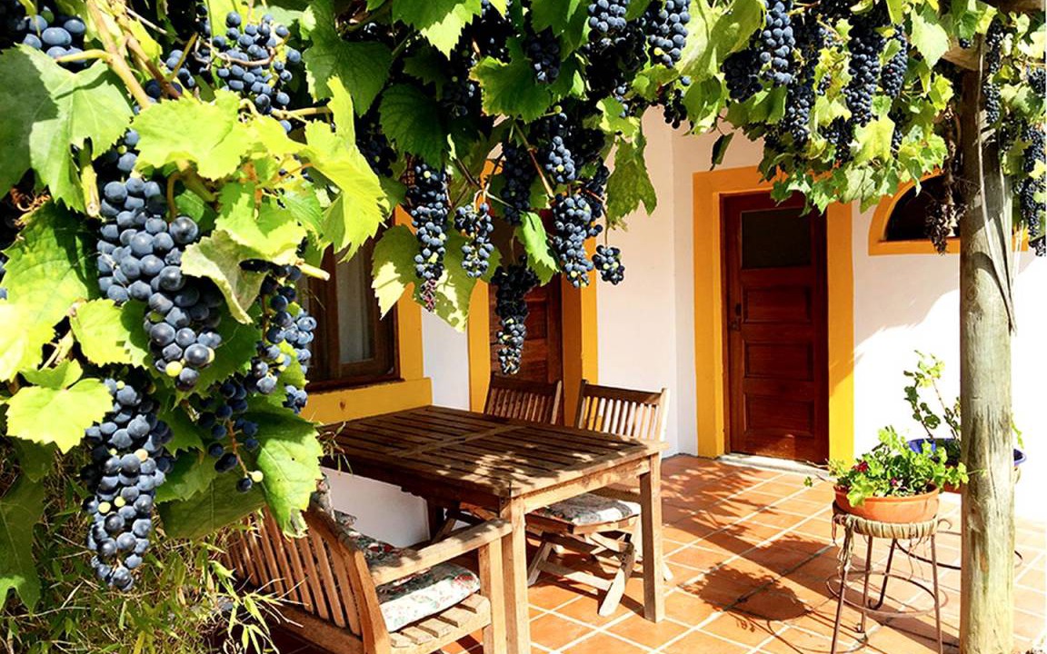 Photo of Patio Balcony in Alcobaca
