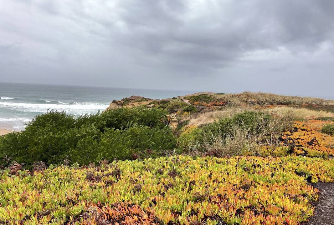 Photo of Others in Praia de Santa Cruz