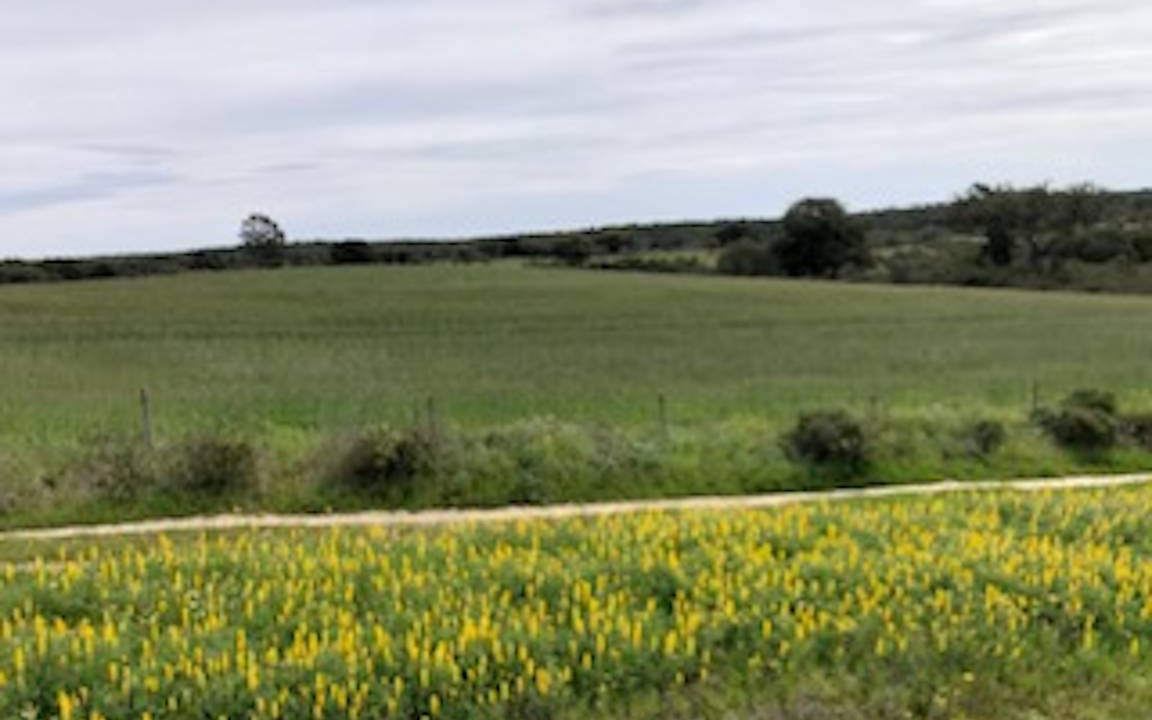 Photo of Others in Foros de Vale de Figueira