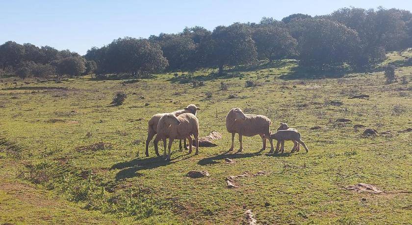 Photo of Outdoor in Estremoz