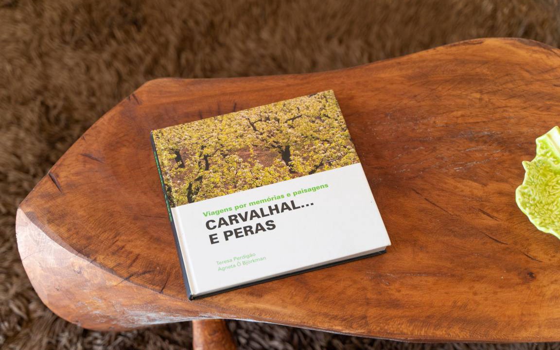 Photo of Others in Carvalhal