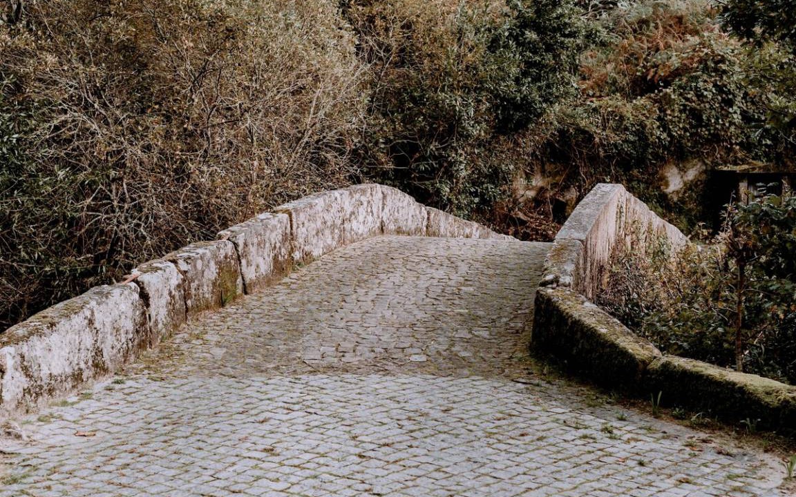 Photo of Others in Macieira de Cambra