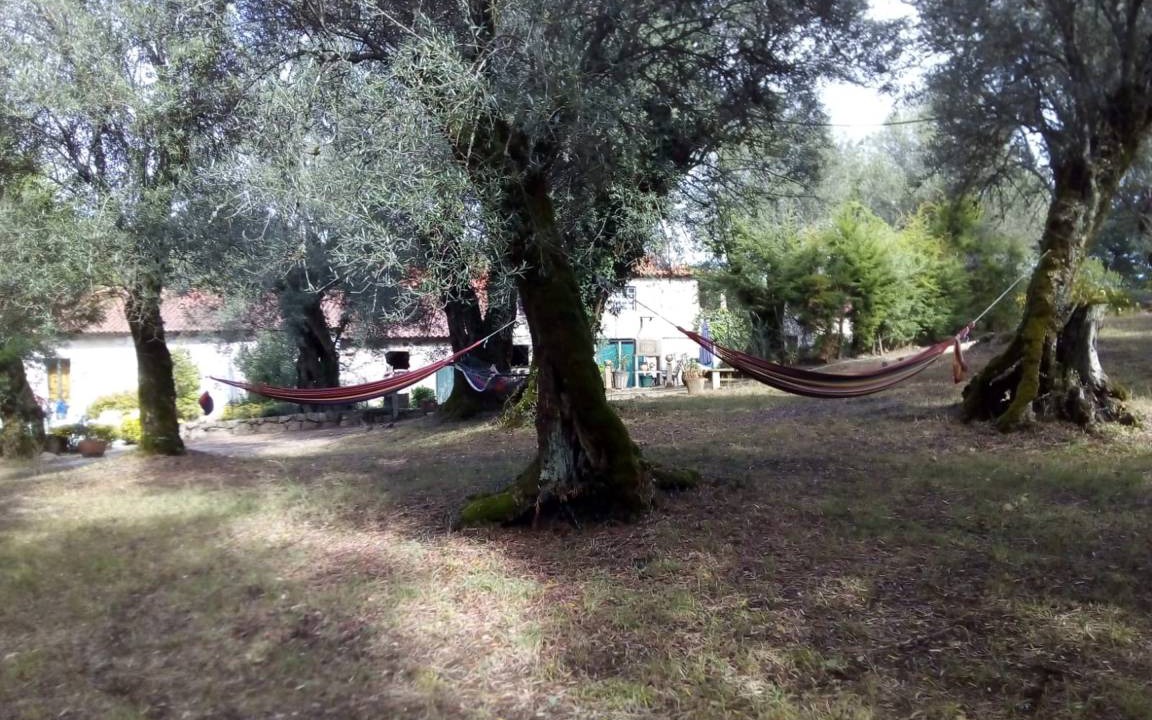Photo of Others in Basto