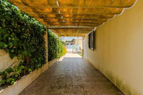 Photo of Others in Lagoa de Albufeira