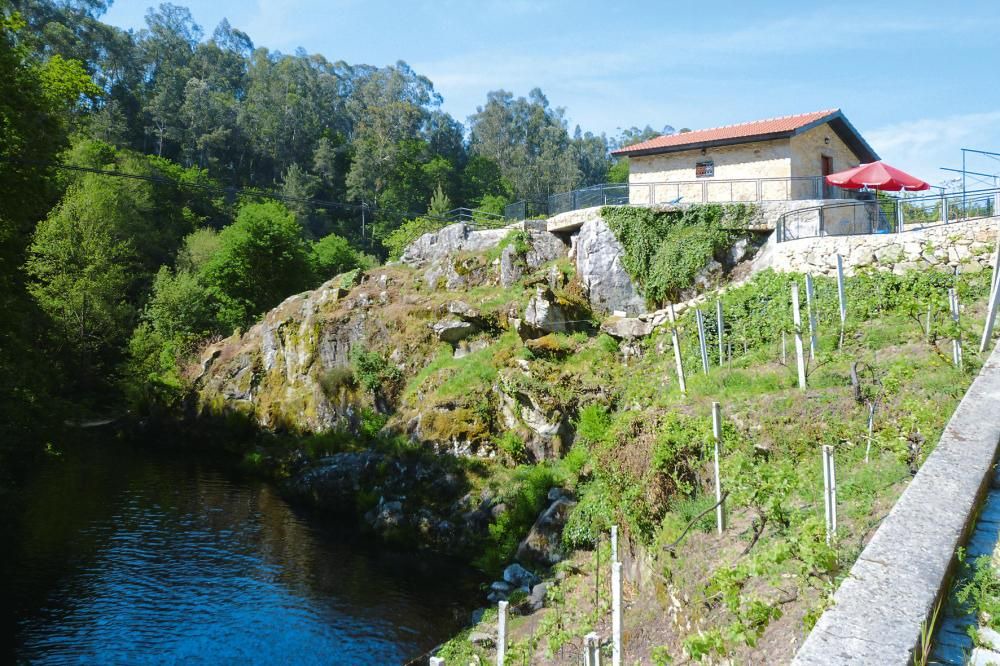 Photo of Outdoor in Macieira de Cambra