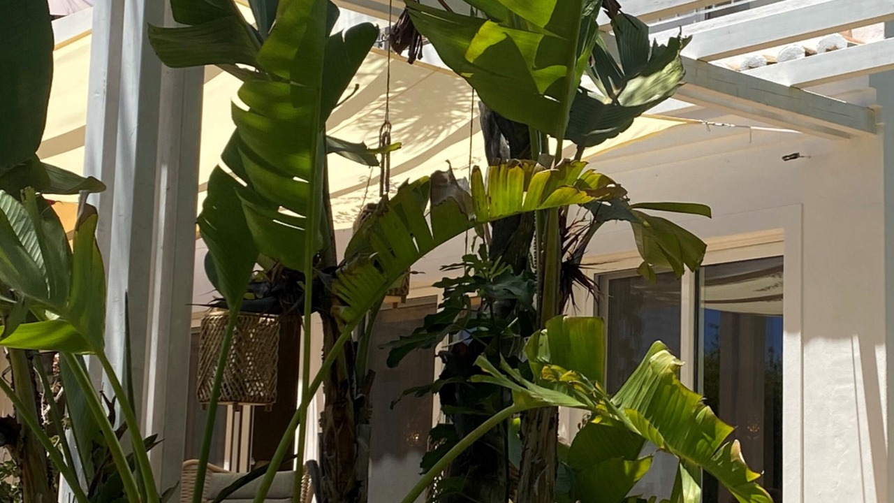 Photo of Outdoor in Caramujeira