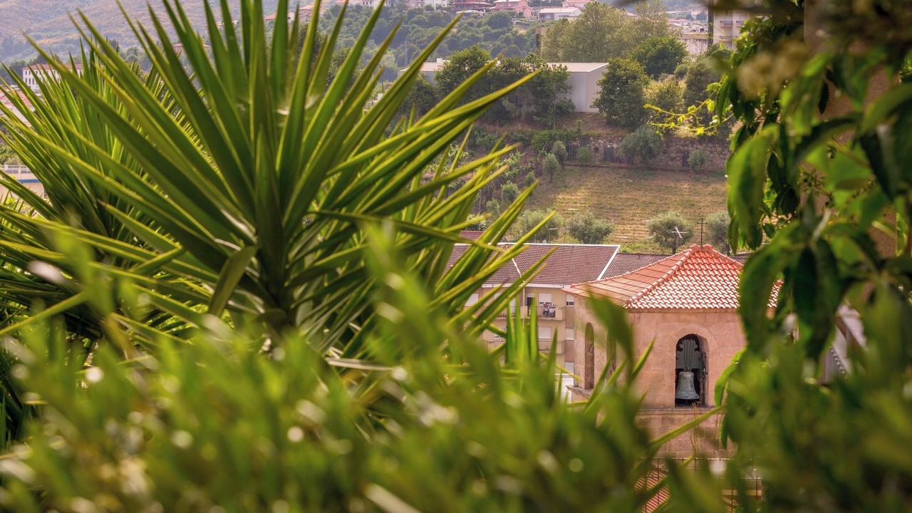 Photo of Outdoor in Lamego
