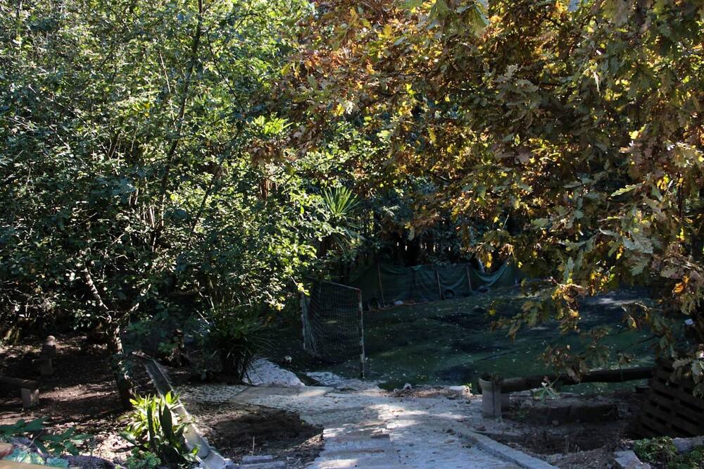 Photo of Outdoor in Beijos
