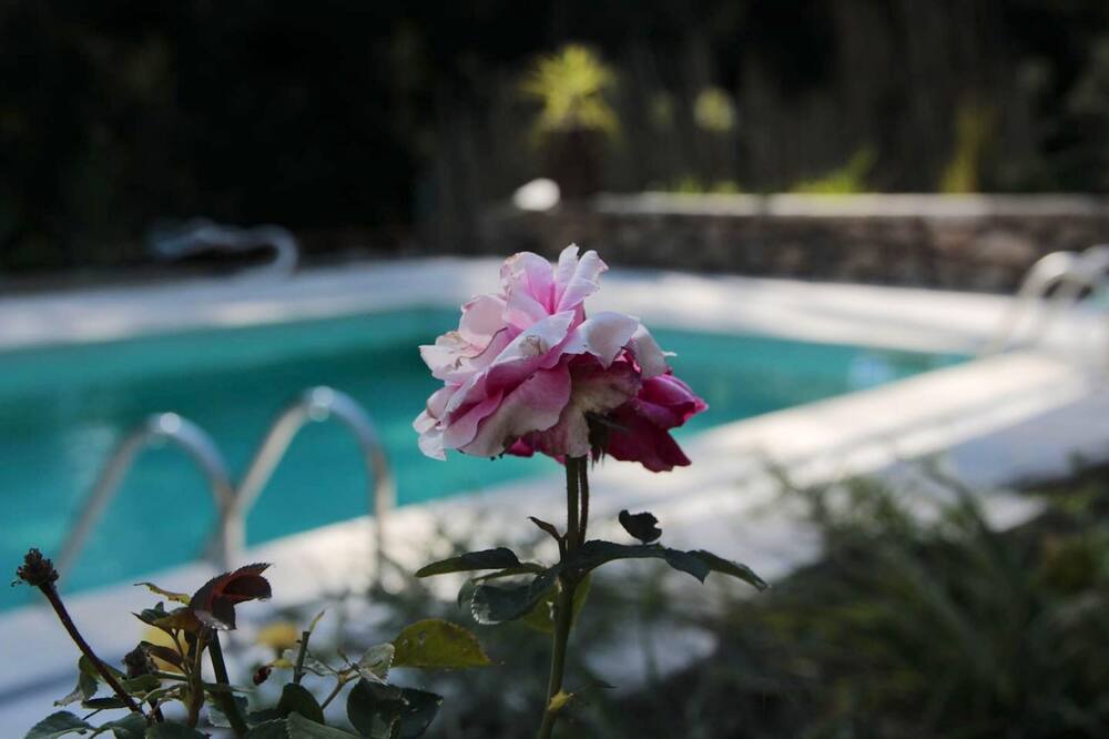Photo of Outdoor in Beijos