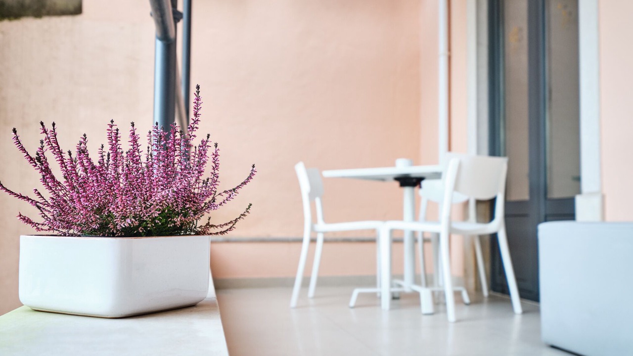 Photo of Patio Balcony in Sintra
