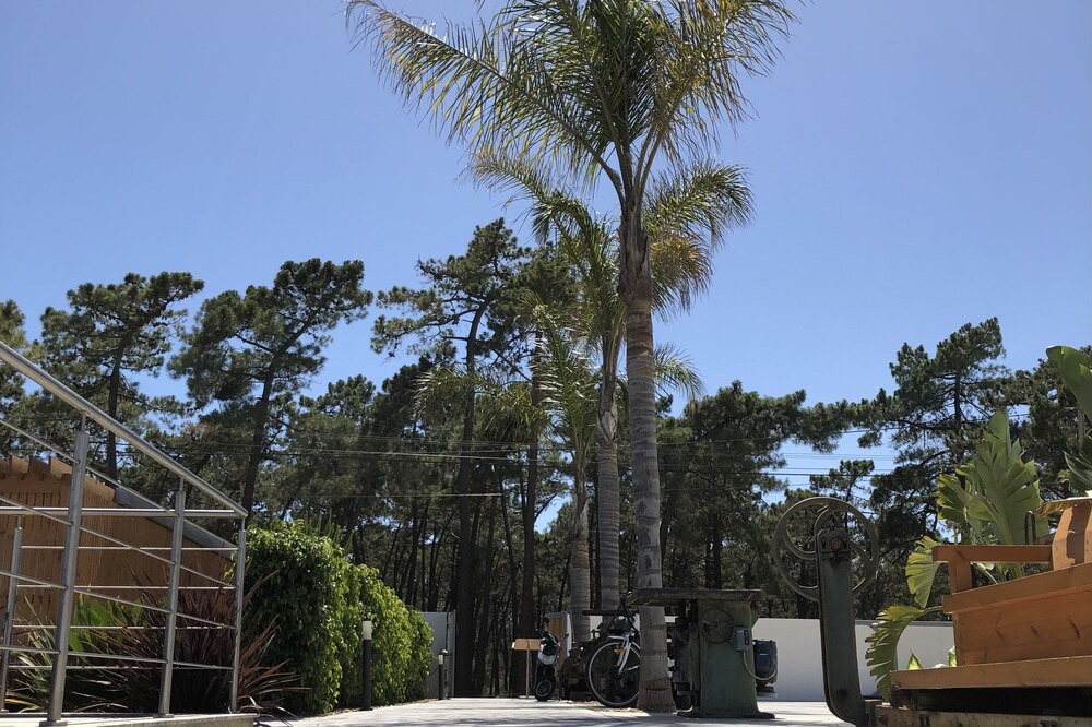 Photo of Outdoor in Vila Real Santo Antonio