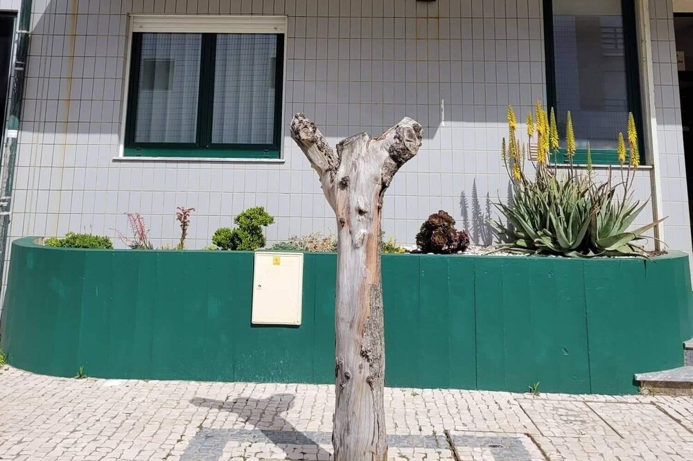 Photo of Outdoor in Apulia