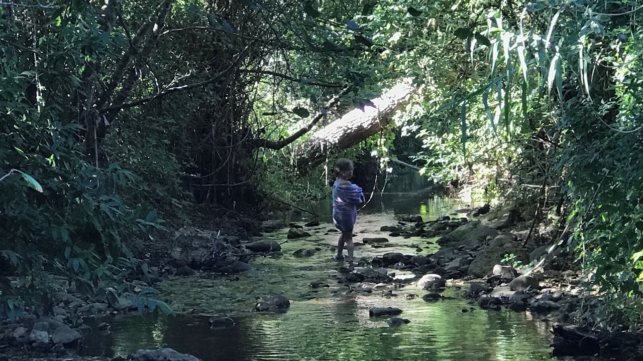 Photo of Outdoor in Penela