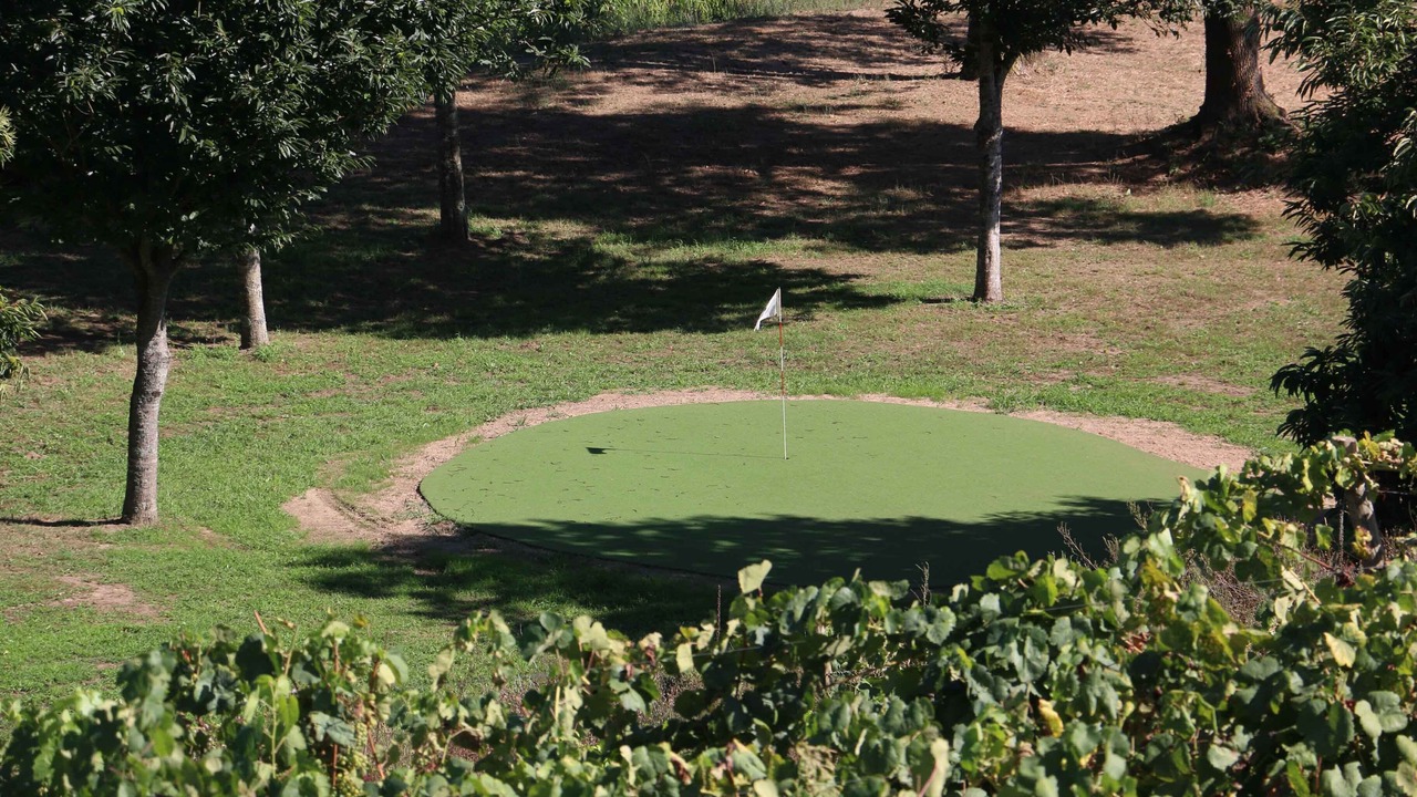 Photo of Others in Vila Verde