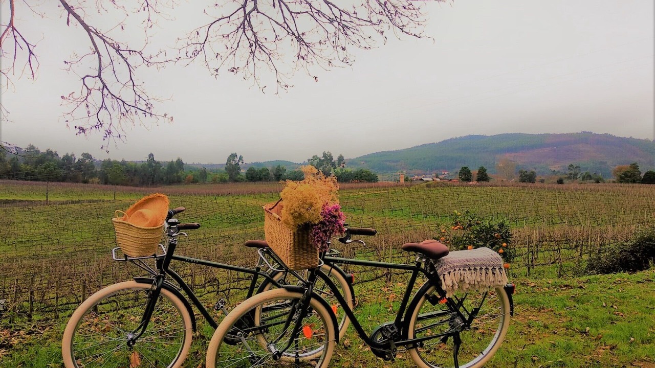 Photo of Outdoor in Vila Verde