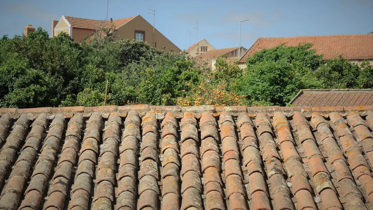 Photo of Outdoor in Cercal