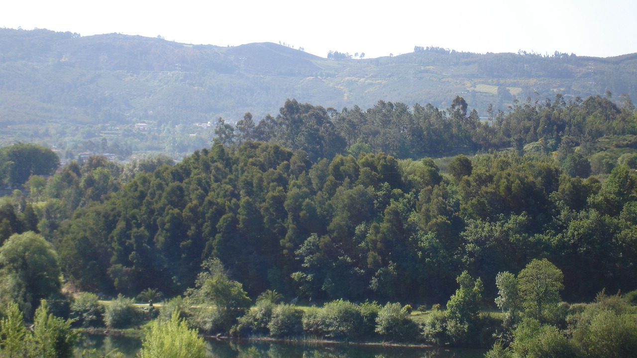Photo of Others in Amares