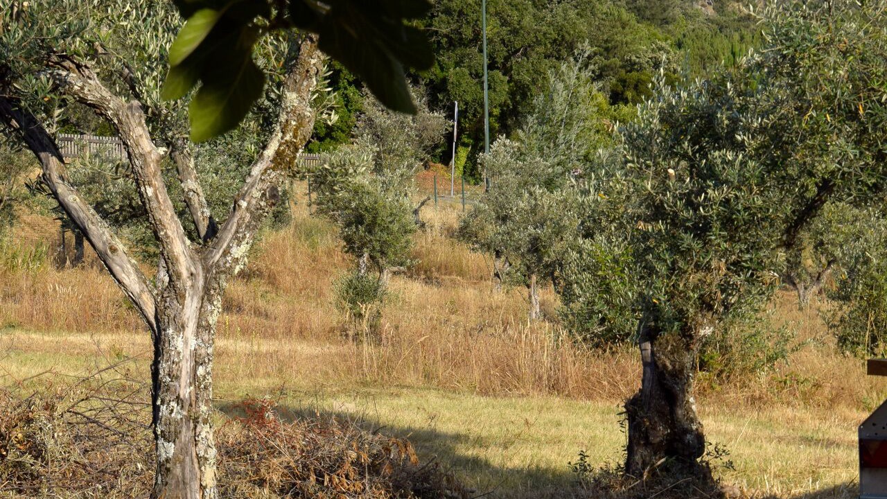 Photo of Outdoor in Castelo de Vide
