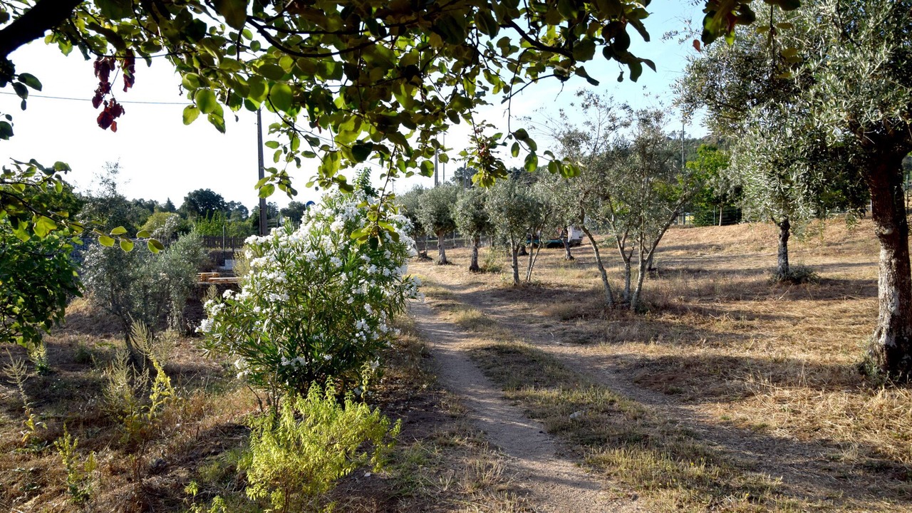 Photo of Outdoor in Castelo de Vide