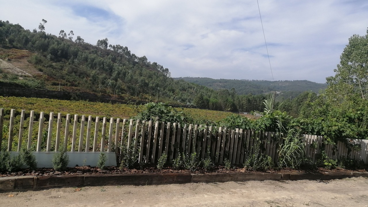 Photo of Outdoor in Tuias