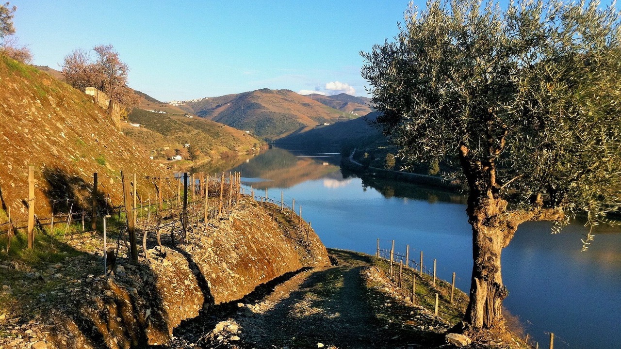 Photo of Outdoor in Bomfim