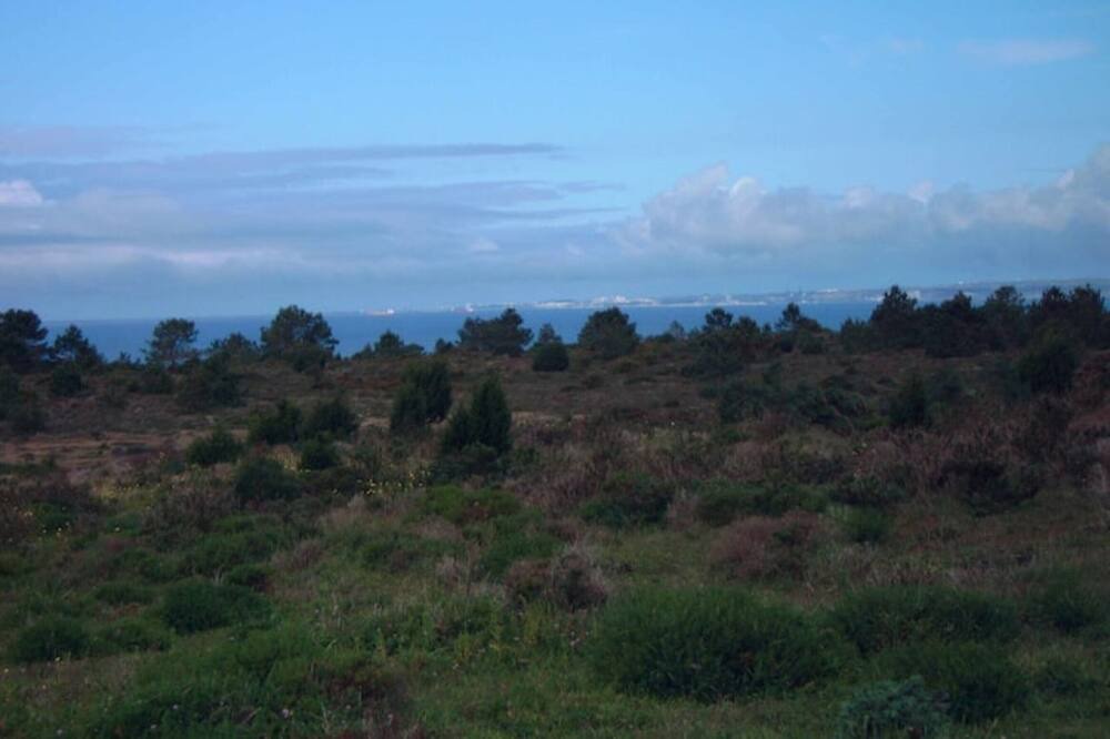Photo of Others in Odemira
