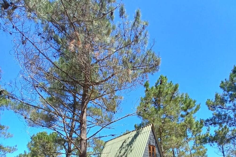 Photo of Outdoor in Odemira