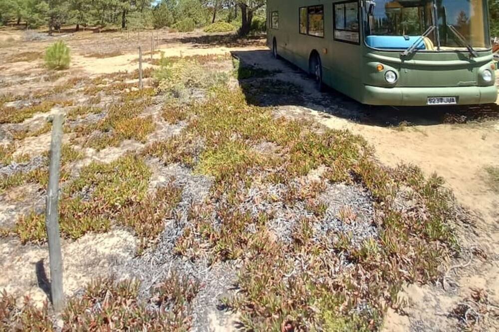 Photo of Outdoor in Odemira