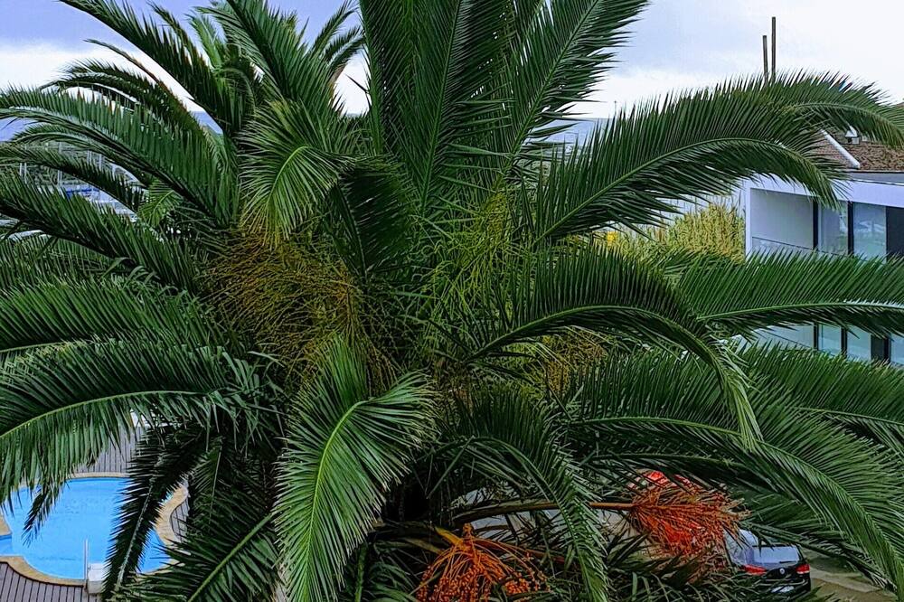 Photo of Outdoor in Vila Franca do Campo