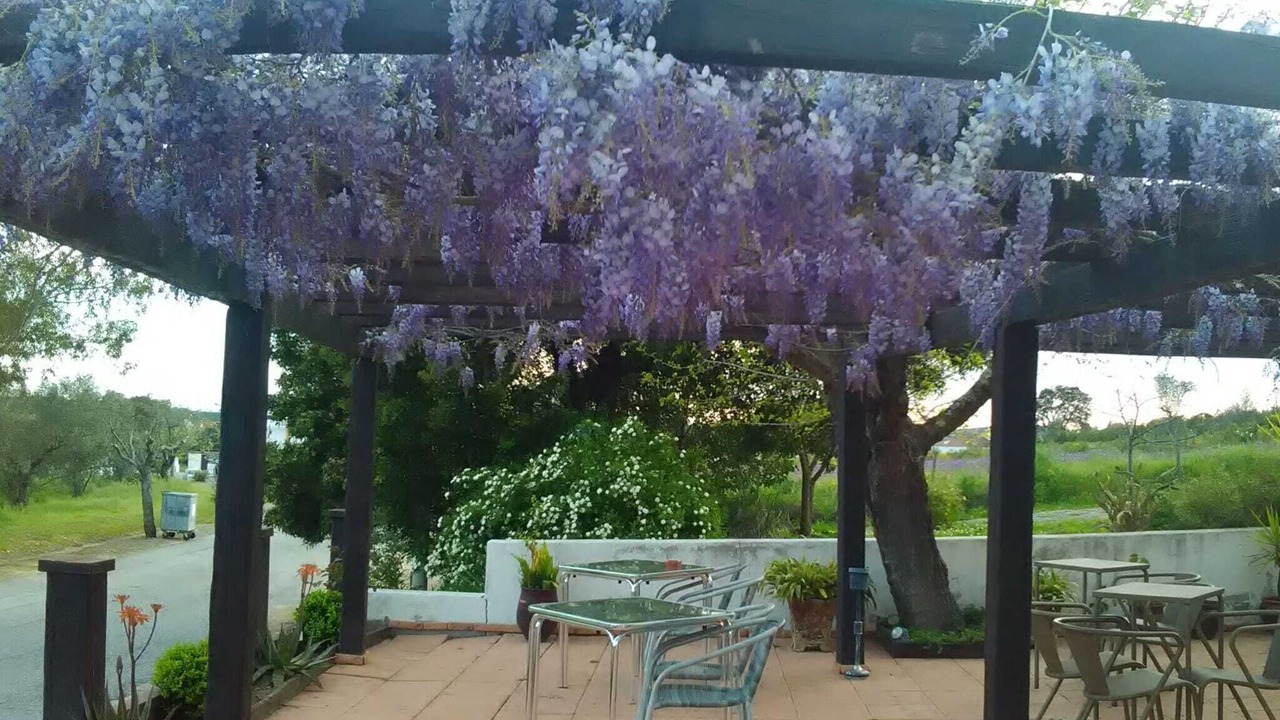 Photo of Outdoor in Monfortinho