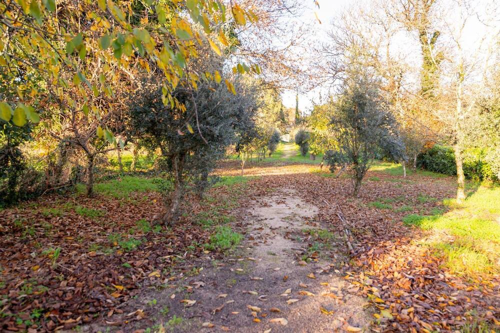 Photo of Outdoor in Macas de Dona Maria