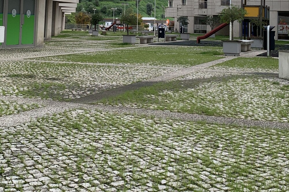 Photo of Others in Marvila