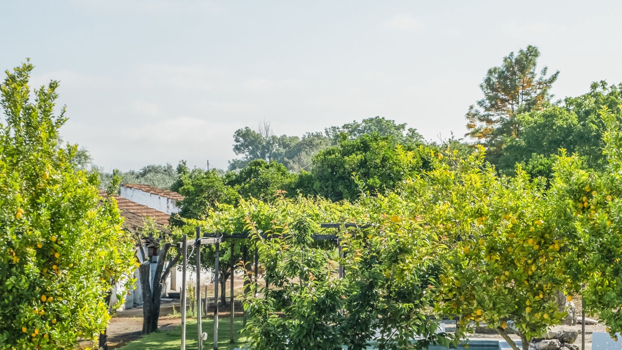 Photo of Outdoor in Cano