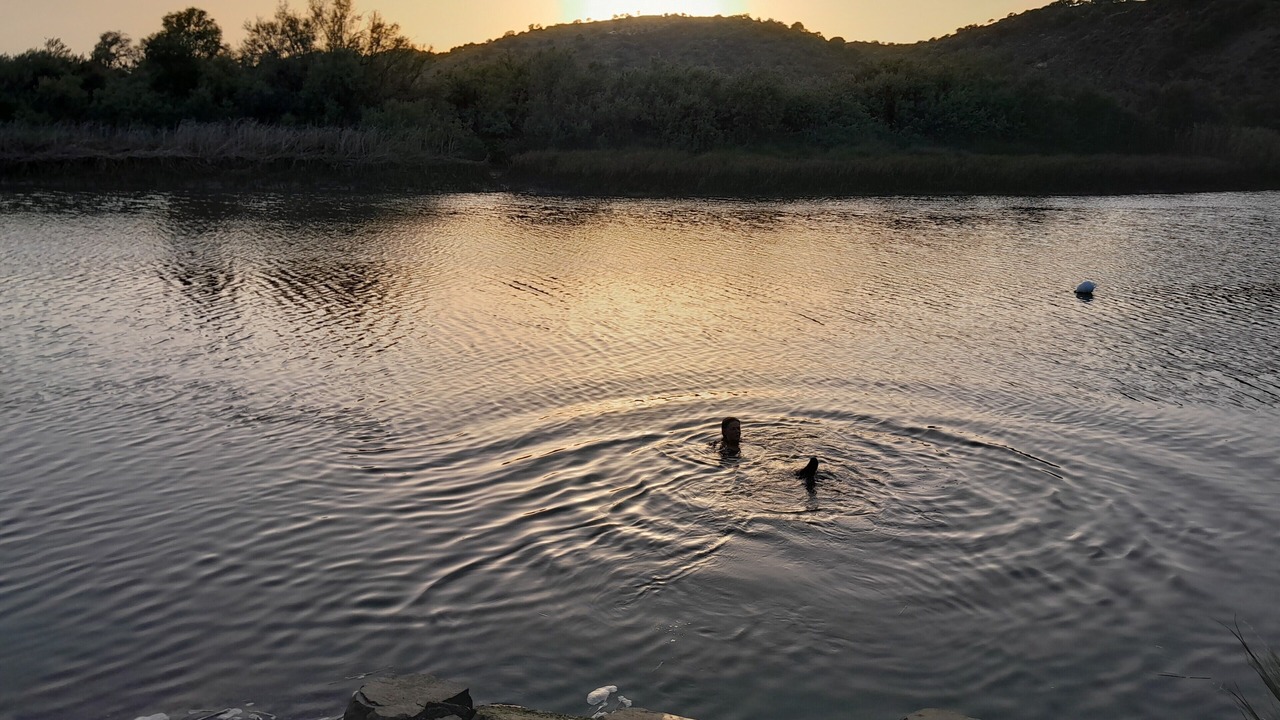 Photo of Others in Foz de Odeleite