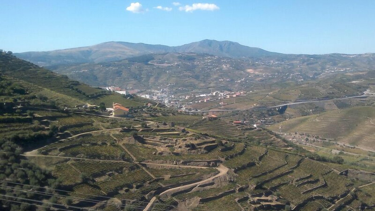 Photo of Others in Lamego