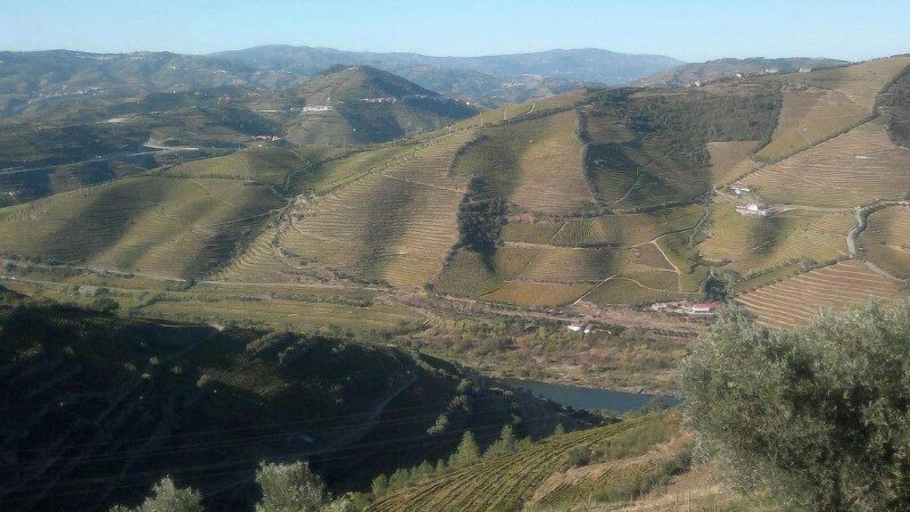 Photo of Others in Lamego