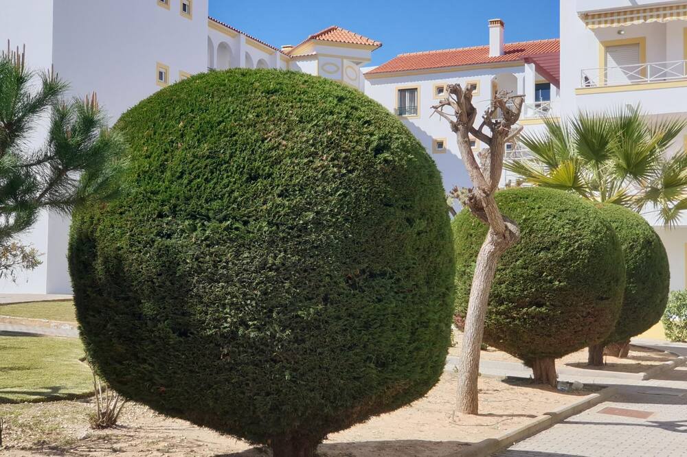 Photo of Outdoor in Alfa-Mar