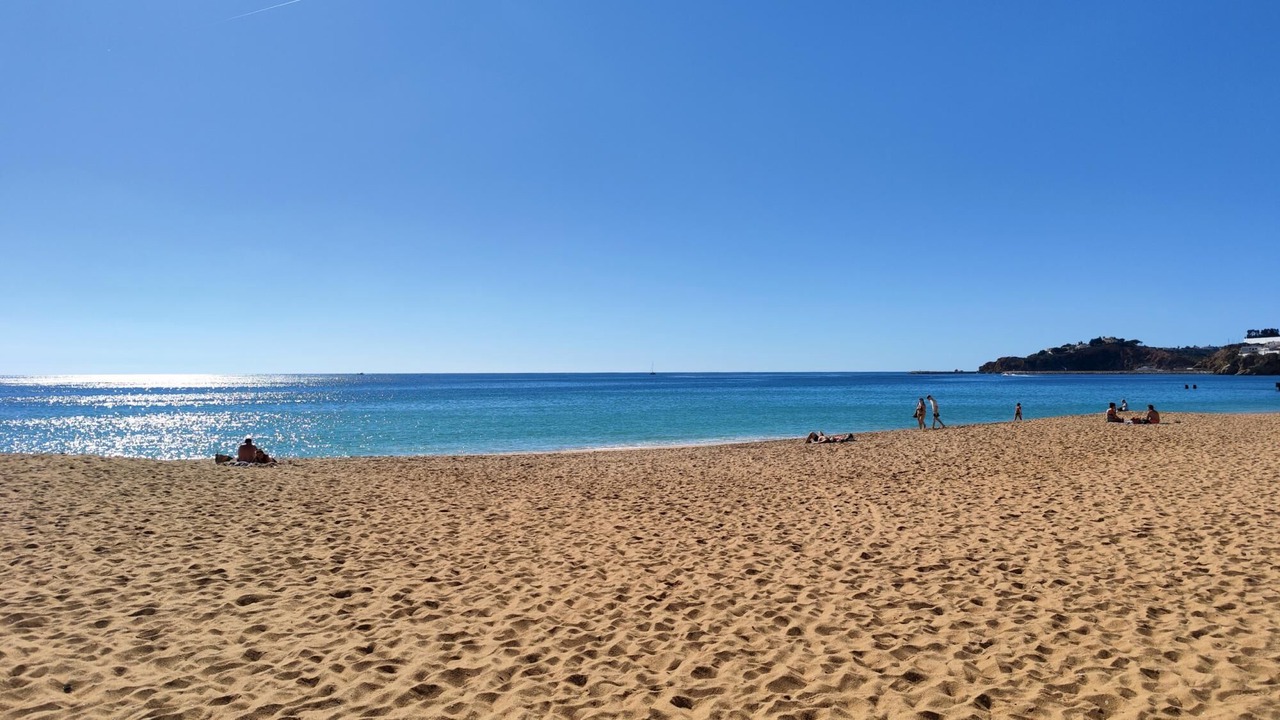 Photo of Others in Calicos