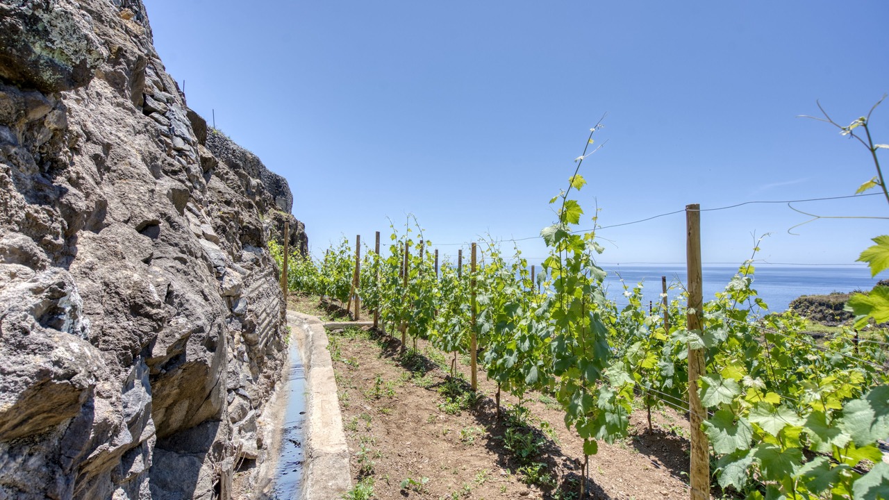 Photo of Outdoor in Calheta