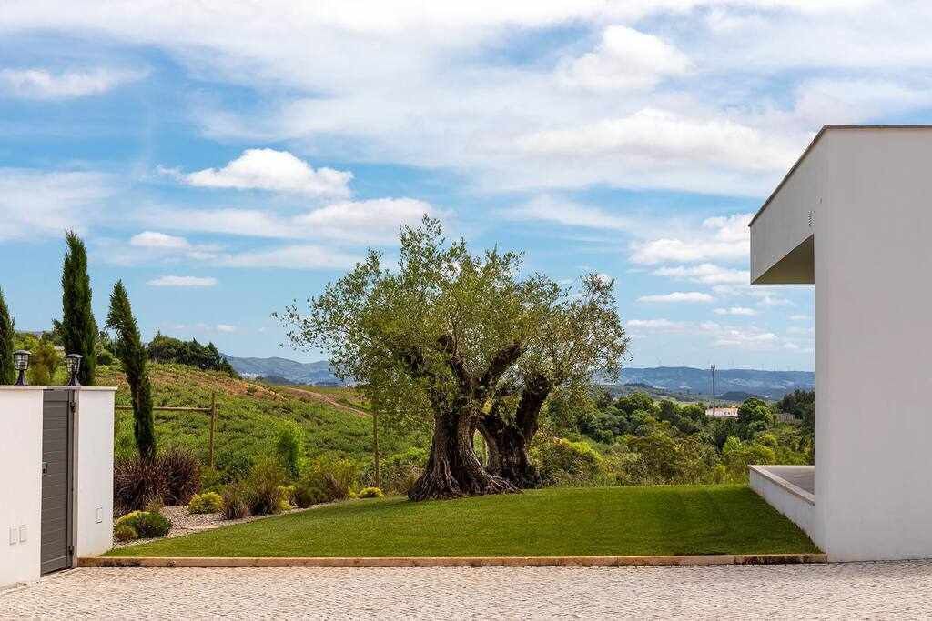 Photo of Outdoor in Carvalhal