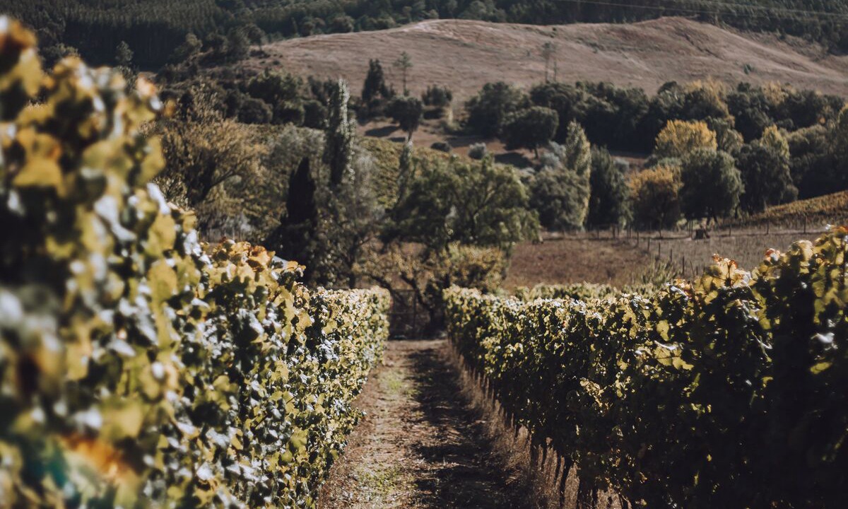 Photo of Outdoor in Assafora
