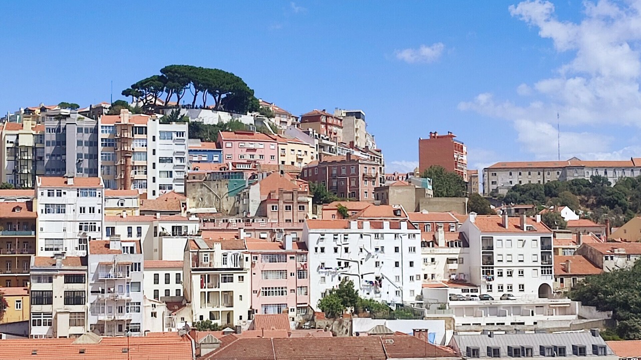 Photo of Outdoor in Pena