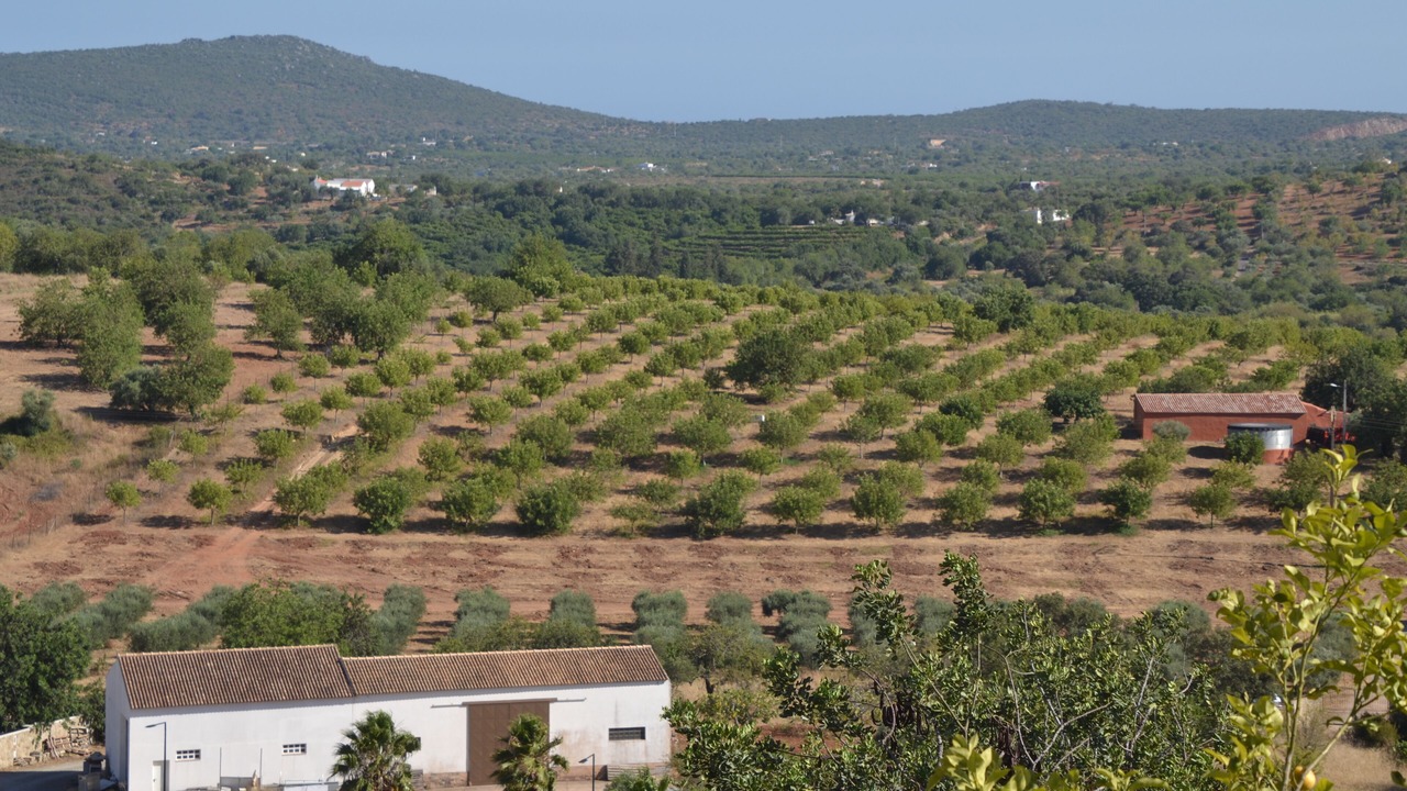 Photo of Outdoor in Santa Catarina da Fonte do Bispo