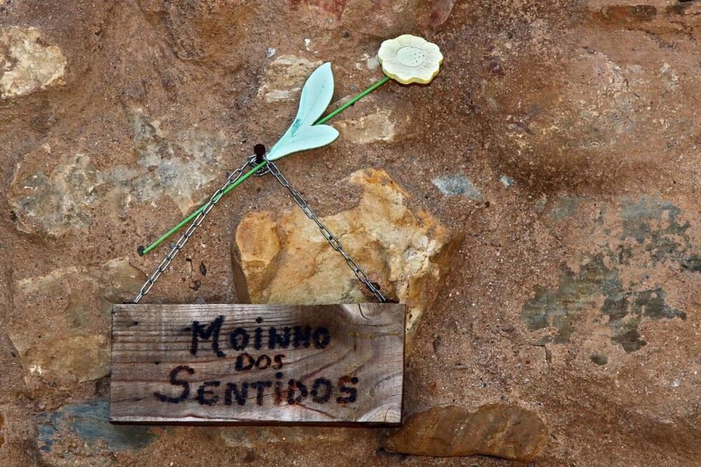 Photo of Others in Miranda do Corvo