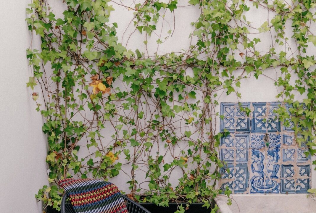 Photo of Patio Balcony in Estremoz