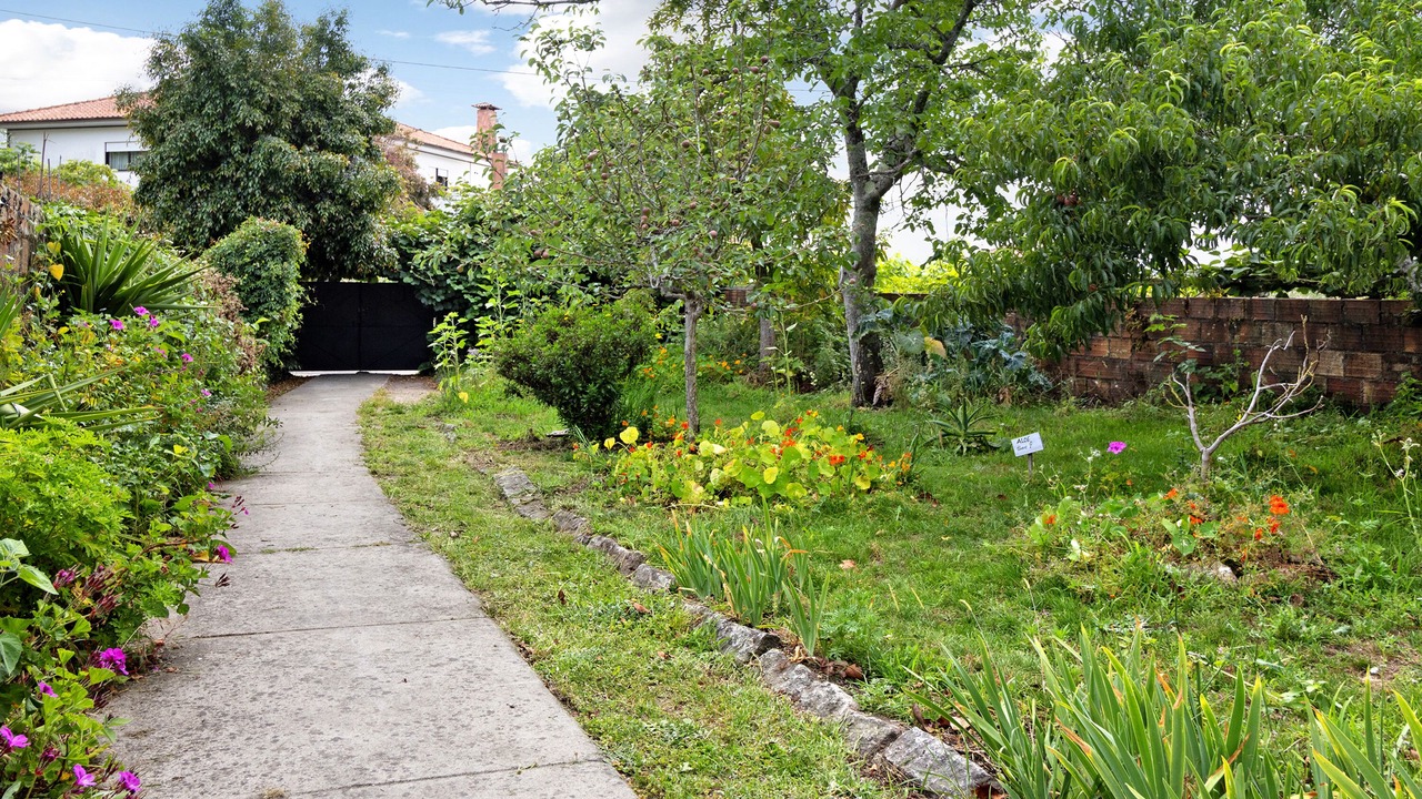 Photo of Outdoor in Vila Nova d'Anha